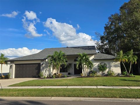 A home in PALM HARBOR