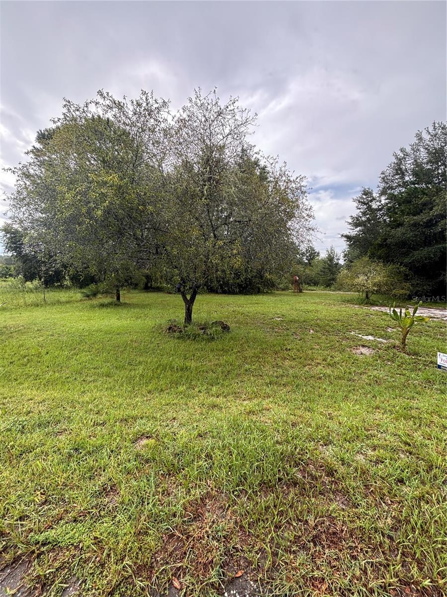 VACANT LOT!!! Come and Build your Dream Home. Very Quiet area. Drive by and take a look at this beautiful piece of land.
