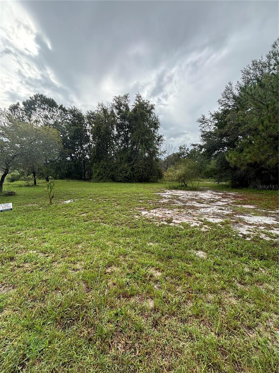 SILVER SPRINGS SHORES - Land