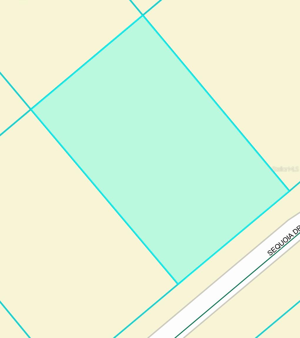 SILVER SPRINGS SHORES - Land