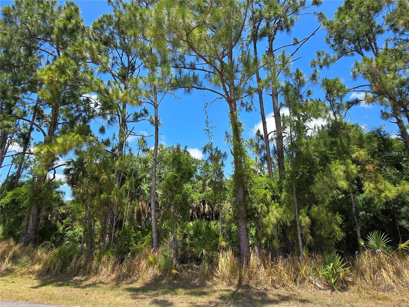 PORT CHARLOTTE SUB 05 - Land