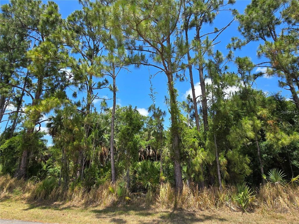 Photo of Emporia Terrace, North Port, FL 34286 (MLS # A4654142)
