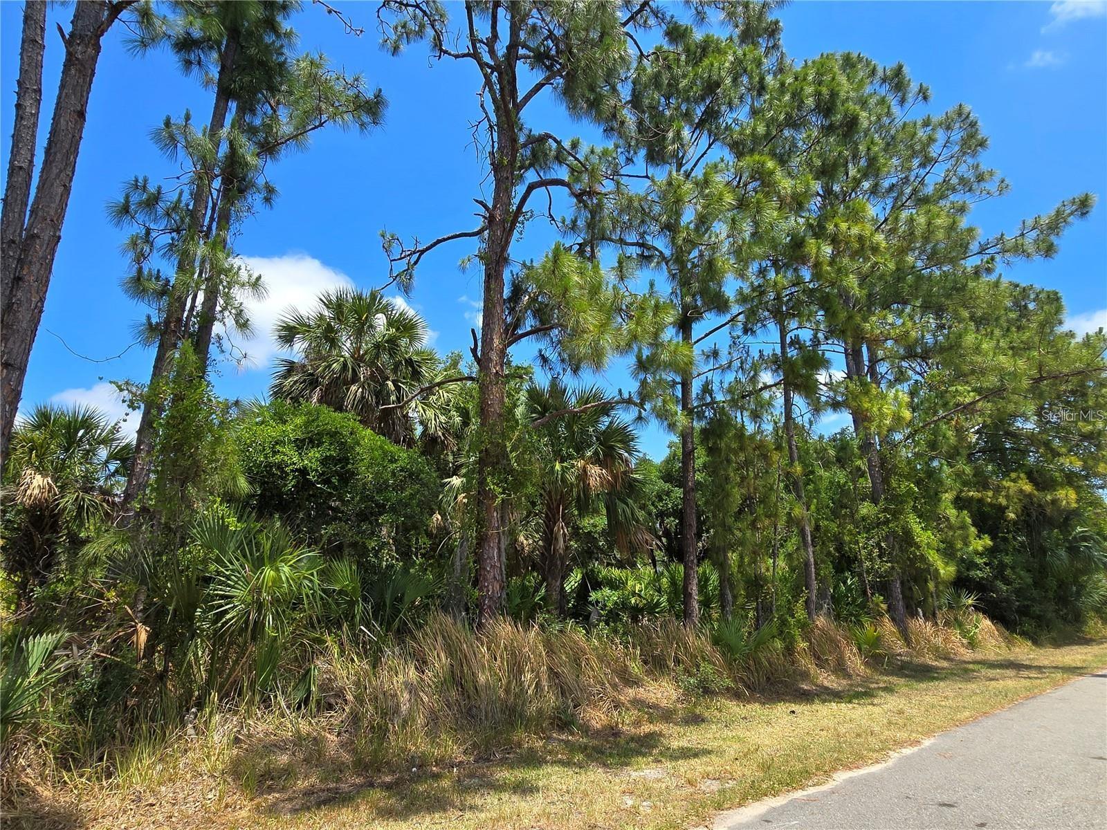 PORT CHARLOTTE SUB 05 - Land
