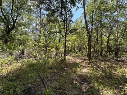 Tiny photo for Tbd SW Cr-347, Chiefland, FL 32644 (MLS # GC539827)