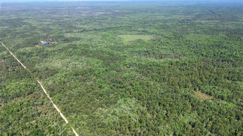 Tiny photo for Tbd SW Cr-347, Chiefland, FL 32644 (MLS # GC539827)
