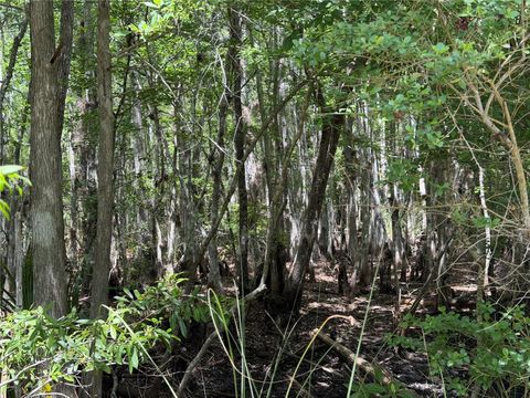 Tiny photo for Tbd SW Cr-347, Chiefland, FL 32644 (MLS # GC539827)
