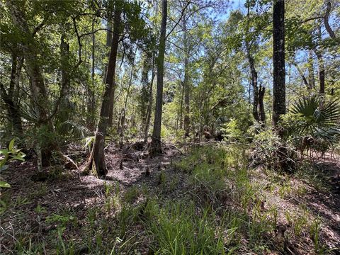 Tiny photo for Tbd SW Cr-347, Chiefland, FL 32644 (MLS # GC539827)