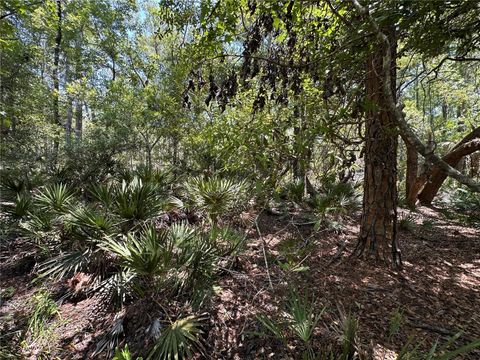 Tiny photo for Tbd SW Cr-347, Chiefland, FL 32644 (MLS # GC539827)