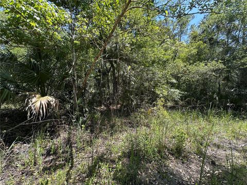 Tiny photo for Tbd SW Cr-347, Chiefland, FL 32644 (MLS # GC539827)
