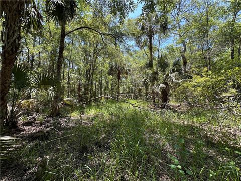 Tiny photo for Tbd SW Cr-347, Chiefland, FL 32644 (MLS # GC539827)