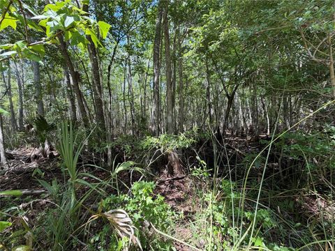 Tiny photo for Tbd SW Cr-347, Chiefland, FL 32644 (MLS # GC539827)