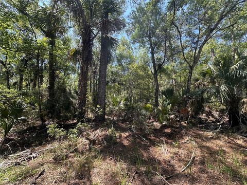 Tiny photo for Tbd SW Cr-347, Chiefland, FL 32644 (MLS # GC539827)