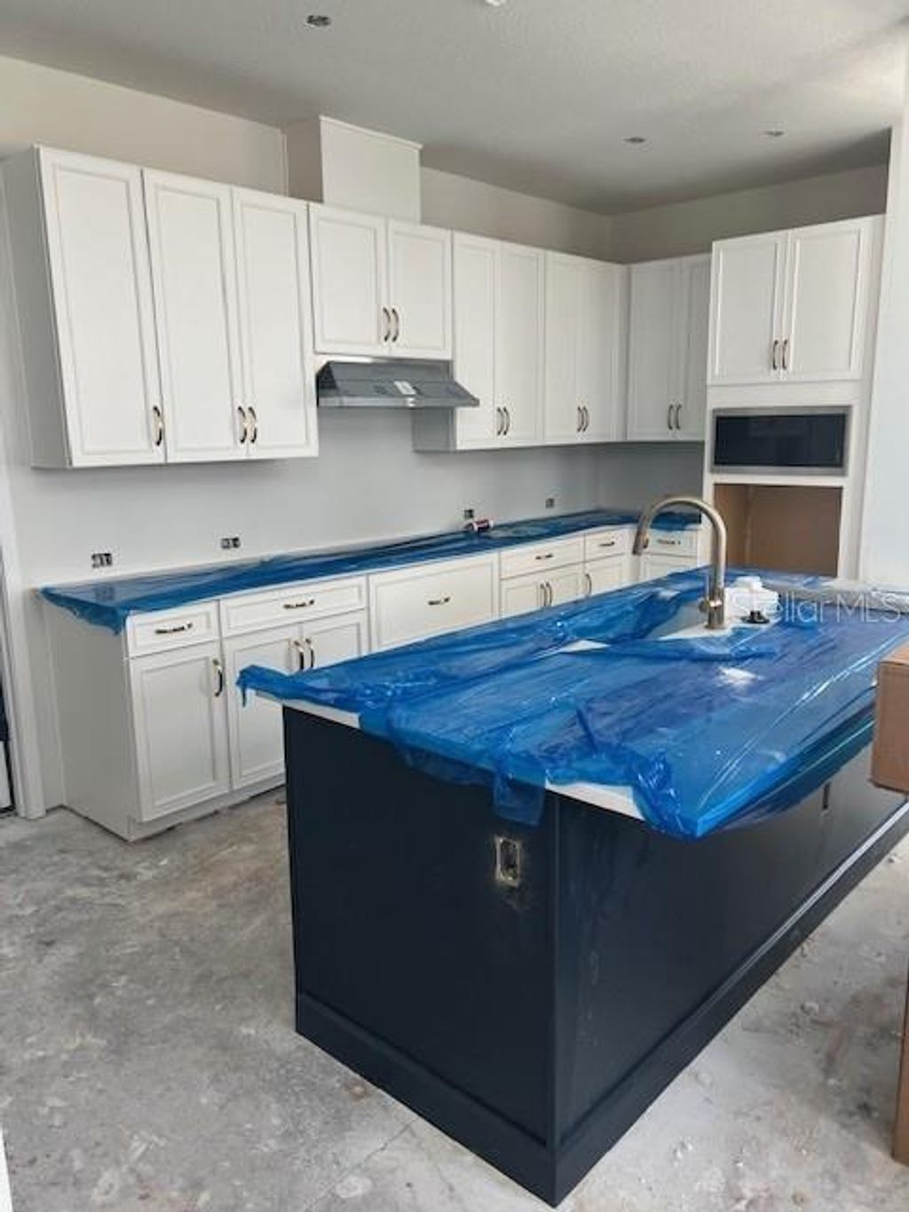 Photo of 28740 Jujube Road, Wesley Chapel, FL 33543 (MLS # TB8358538)