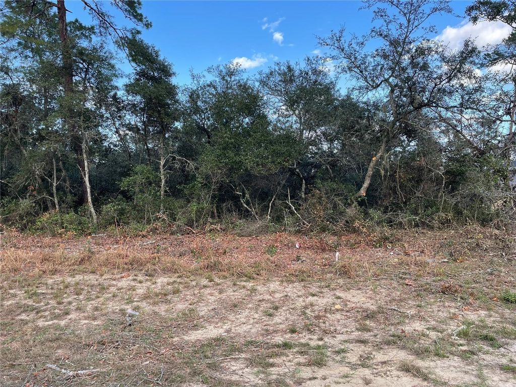Photo of 165 SW Street Road, Ocala, FL 34473 (MLS # O6367195)
