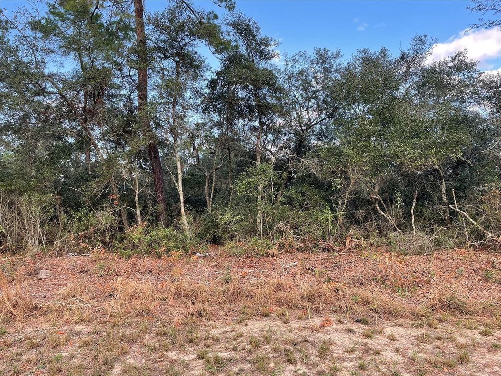 Photo of 165 SW Street Road, Ocala, FL 34473 (MLS # O6367195)