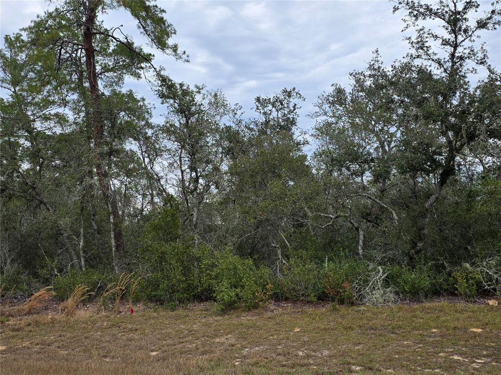 Photo of 165 SW Street Road, Ocala, FL 34473 (MLS # O6367195)