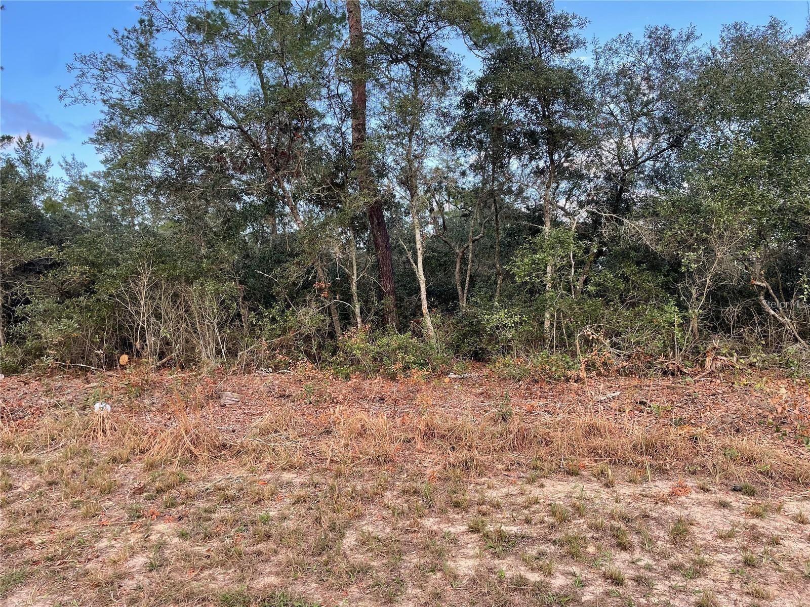 MARION OAKS UN 04 - Land