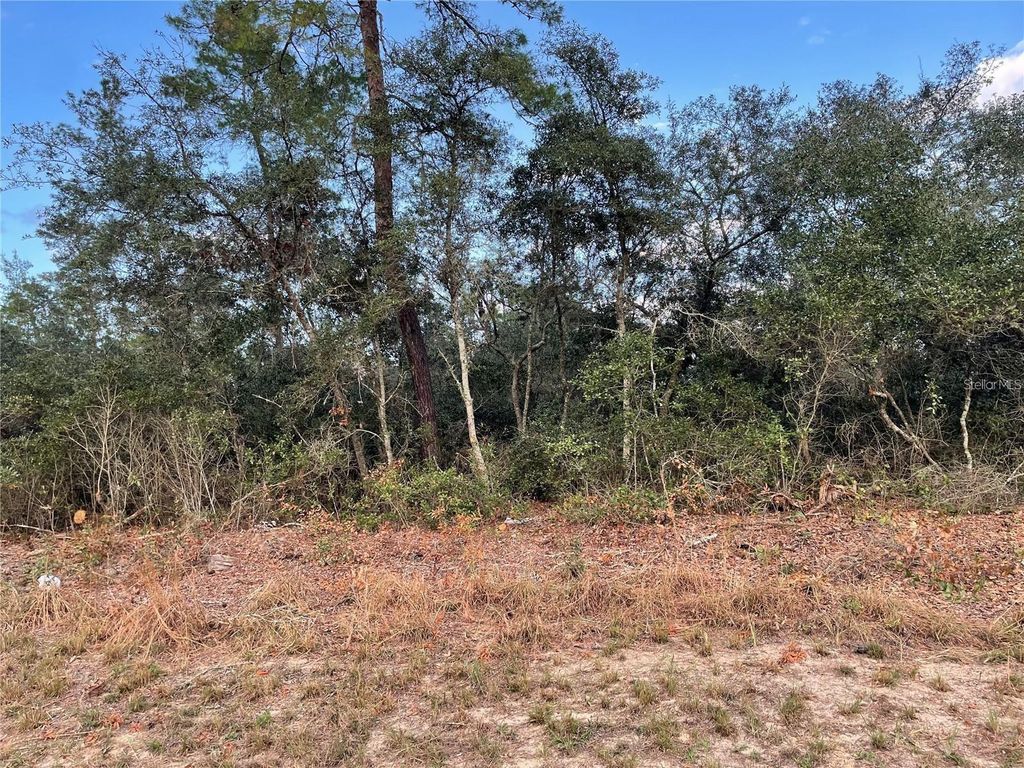 Photo of 165 SW Street Road, Ocala, FL 34473 (MLS # O6367195)