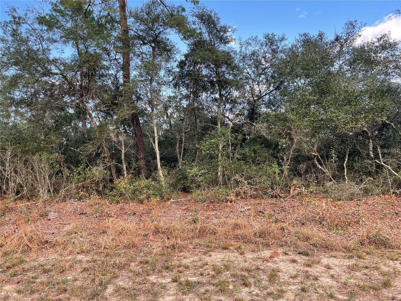 MARION OAKS UN 04 - Land