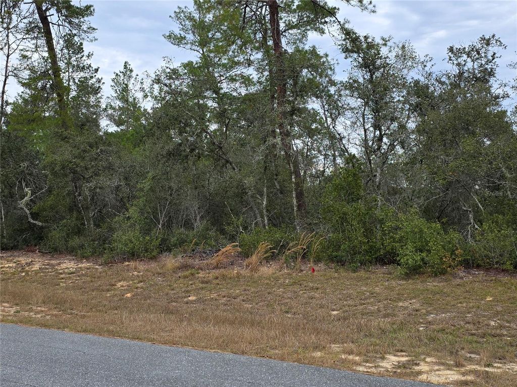 Photo of 165 SW Street Road, Ocala, FL 34473 (MLS # O6367195)