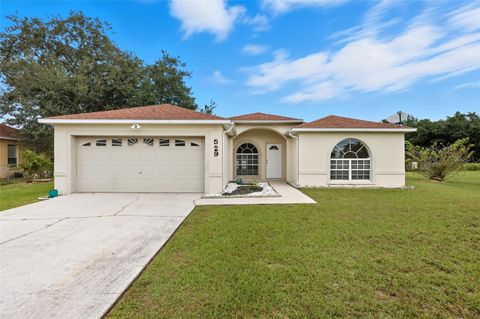 Photo of 529 Finch Court, Kissimmee, FL 34759 (MLS # S5132522)
