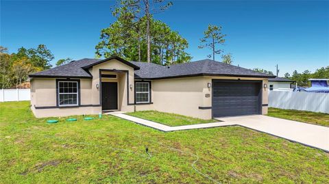 Photo of 10970 N Dragonis Drive, Citrus Springs, FL 34433 (MLS # A4692074)