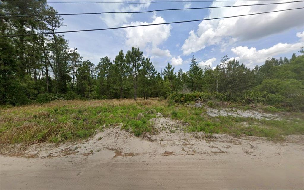 Photo of 2885 Larkspur Road, Deland, FL 32724 (MLS # TB8479023)