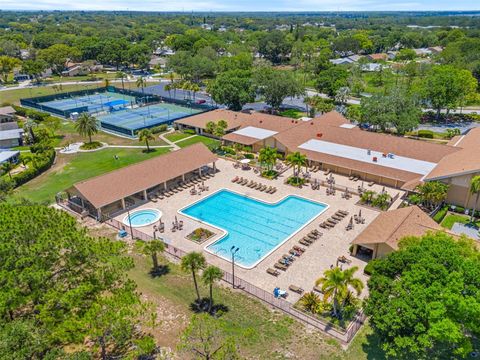 A home in PALM HARBOR