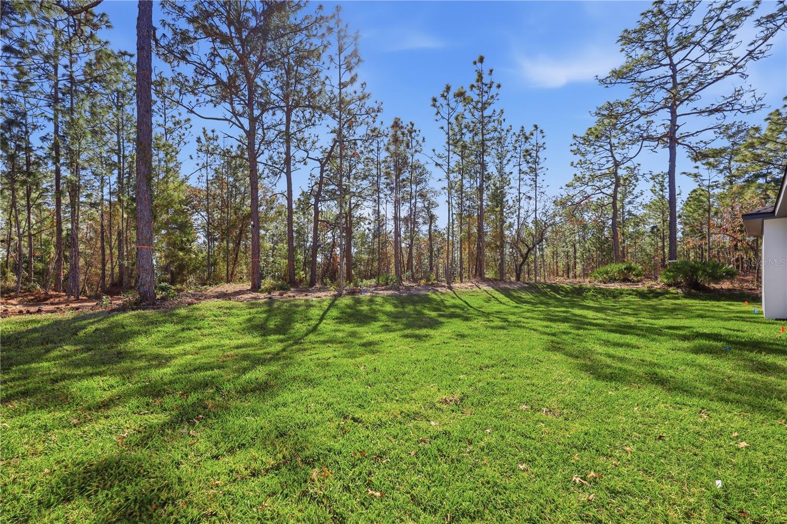 WILDWOOD COUNTRY ESTATES - Residential