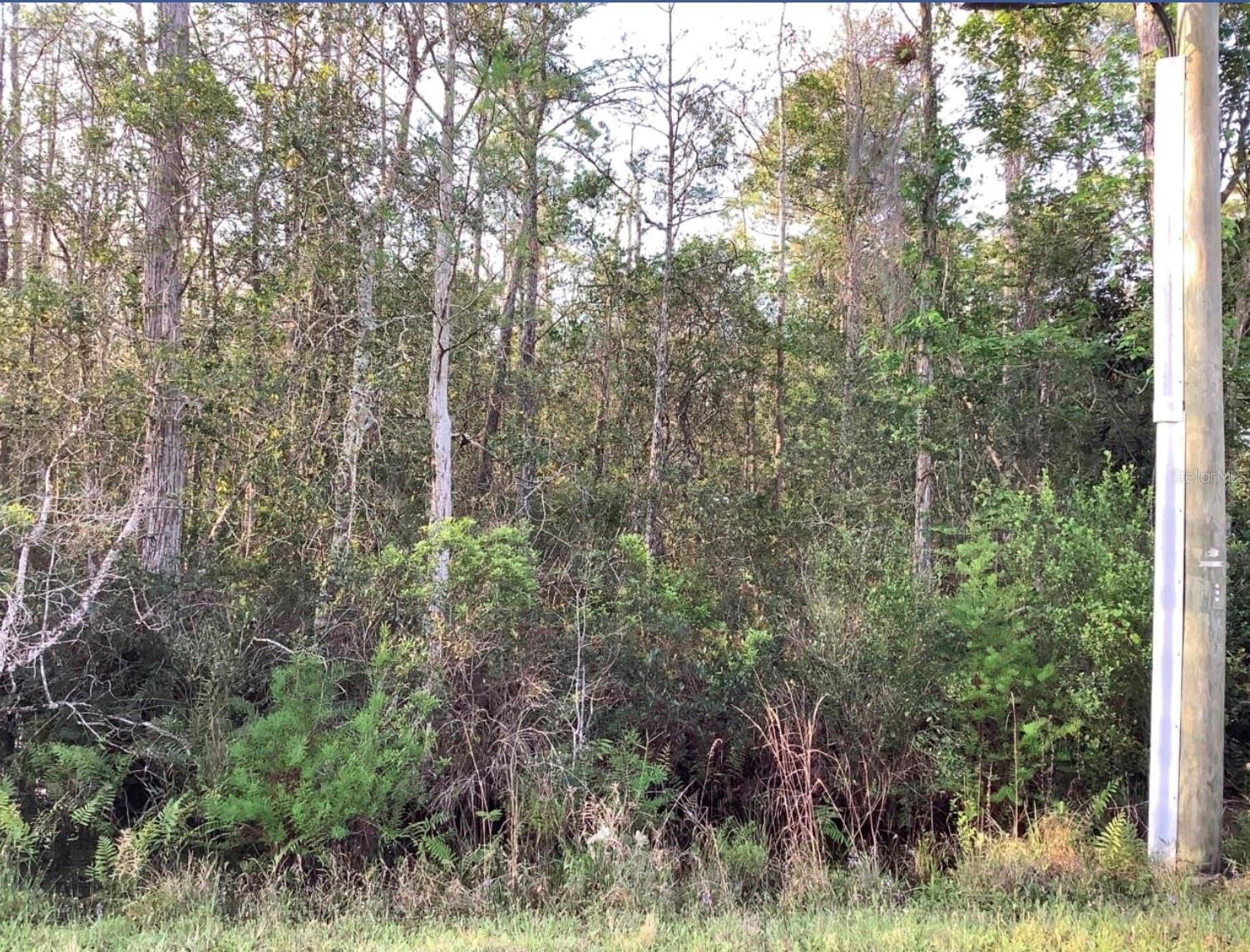 Build your dream home on this exceptional vacant lot in Wedgefield Cape Orlando Estates, one of East Orlando’s most sought-after communities! This expansive lot offers the perfect blend of privacy and natural beauty, nestled among custom-built homes and surrounded by serene Florida landscape. Enjoy the peace and space of country living with convenient access to major highways, the Orlando International Airport, Lake Nona Medical City, UCF, and the Space Coast beaches. Whether you’re looking to build now or invest for the future; this is an outstanding opportunity in a rapidly growing area. Don’t miss your chance to own a piece of paradise in Wedgefield!