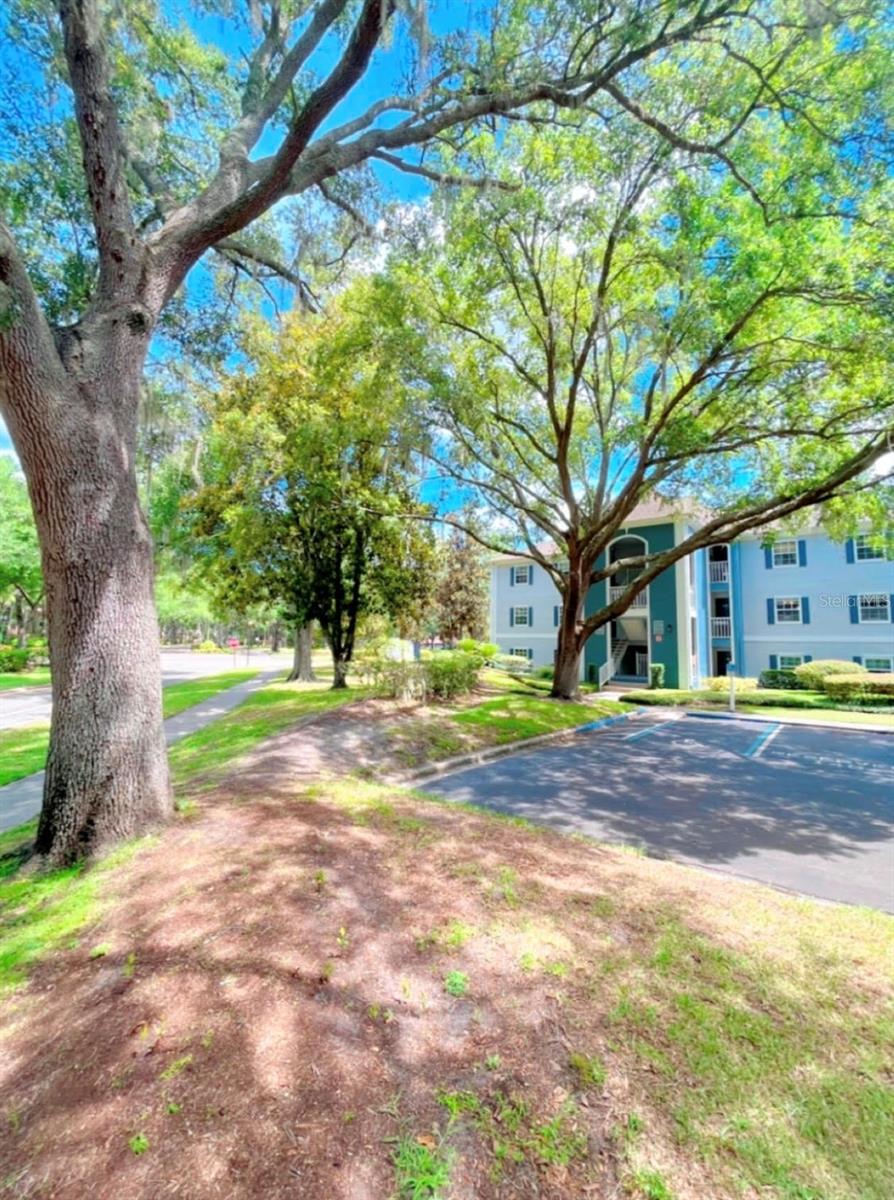 CLUBSIDE AT SABAL POINT A CONDO - Residential