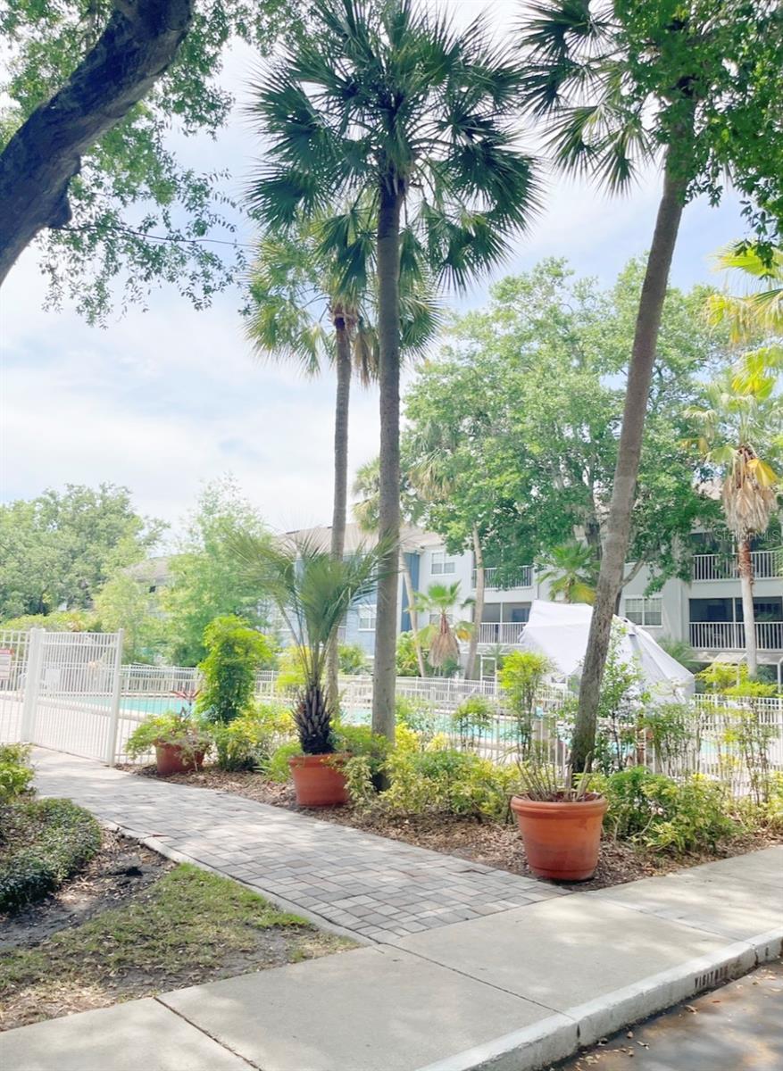 CLUBSIDE AT SABAL POINT A CONDO - Residential