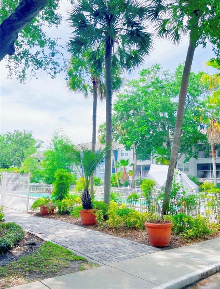 8203 OLYMPIA COURT 8203