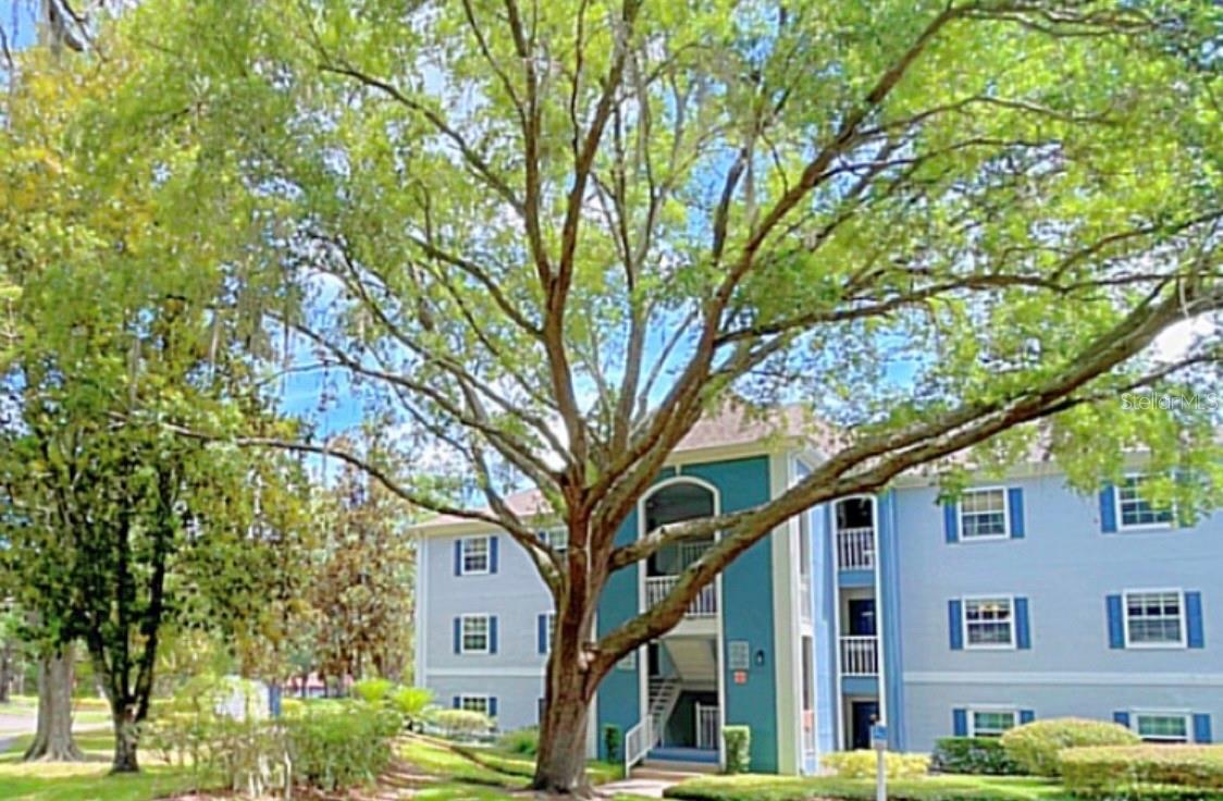 CLUBSIDE AT SABAL POINT A CONDO - Residential