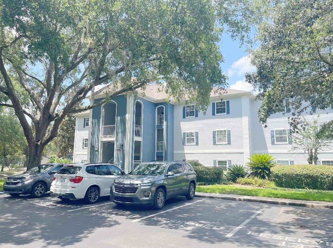 8203 OLYMPIA COURT 8203