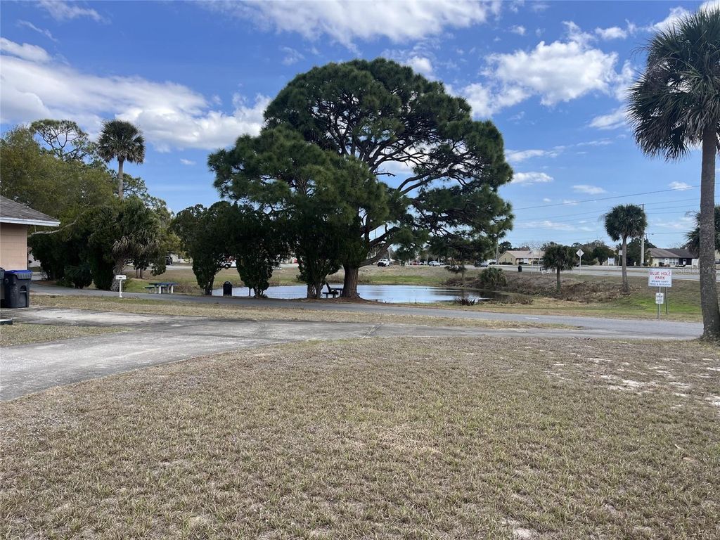 Photo of 1380 Shelly Place, Titusville, FL 32780 (MLS # O6386279)