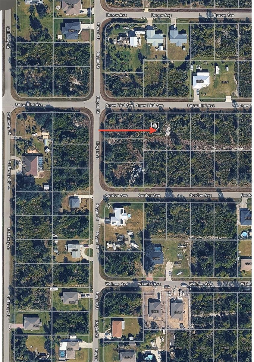 12081 SNOW BIRD AVENUE