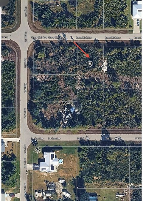 Photo of 12081 Snow Bird Avenue, Port Charlotte, FL 33981 (MLS # O6384151)
