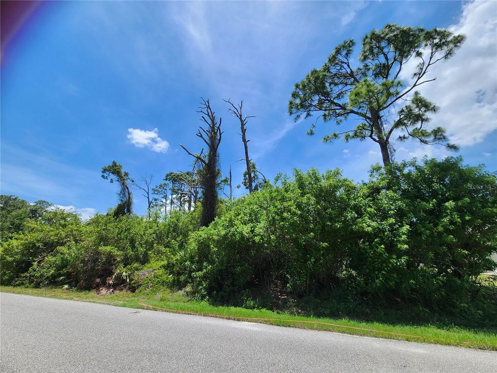 Photo of 2513 Woodyglen Street, Port Charlotte, FL 33948 (MLS # N6144281)