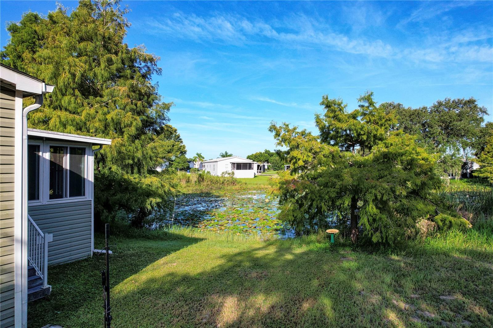 25144 SPANISH MOSS CIRCLE