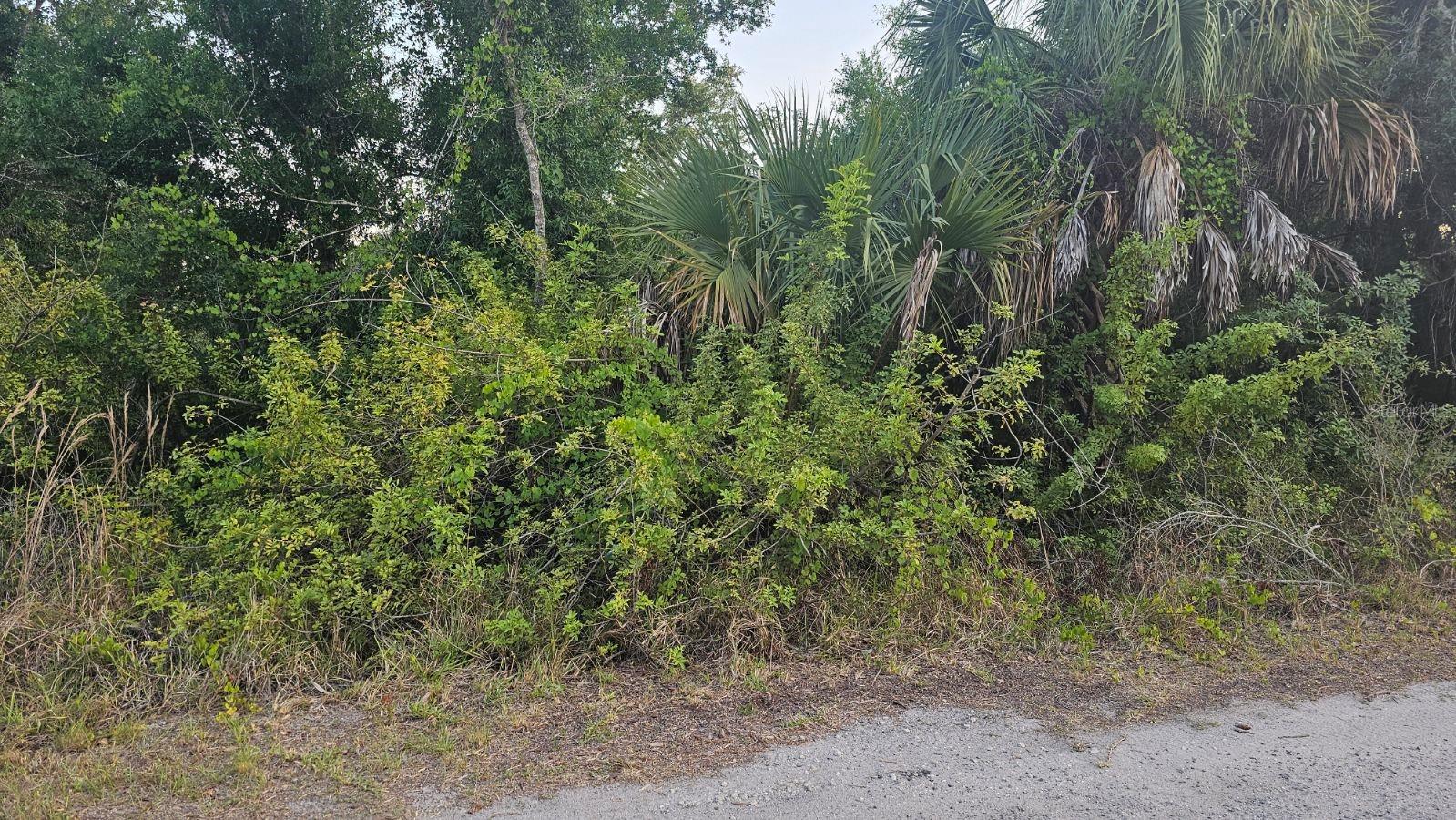 Not in county scrub jay area. City water is available. Nice corner lot for your FL dream home. Near beaches, shopping and restaurants for your convenience. Water ways near by for fishing and boating. Please do your due diligence.