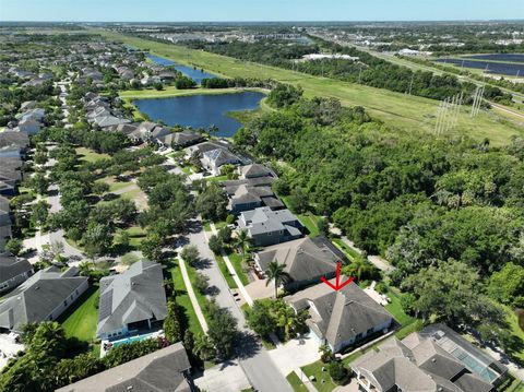 A home in APOLLO BEACH