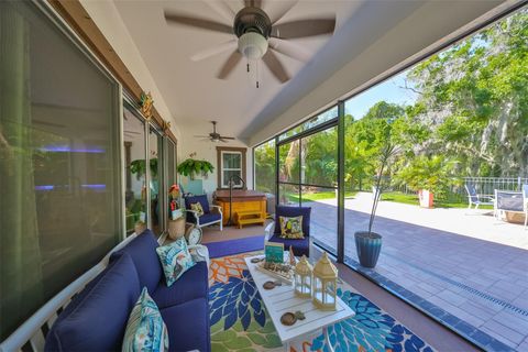 A home in APOLLO BEACH