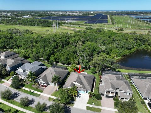 A home in APOLLO BEACH