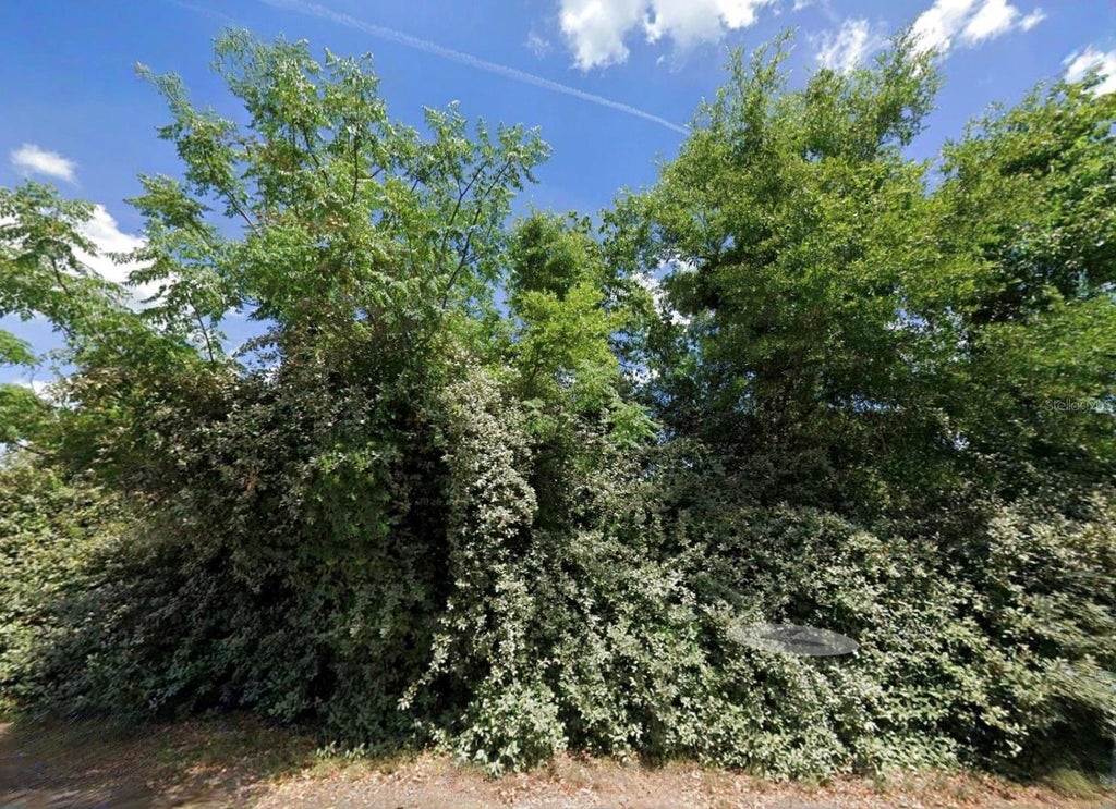 Photo of 12010 S Hewitt Point, Floral City, FL 34436 (MLS # TB8543775)