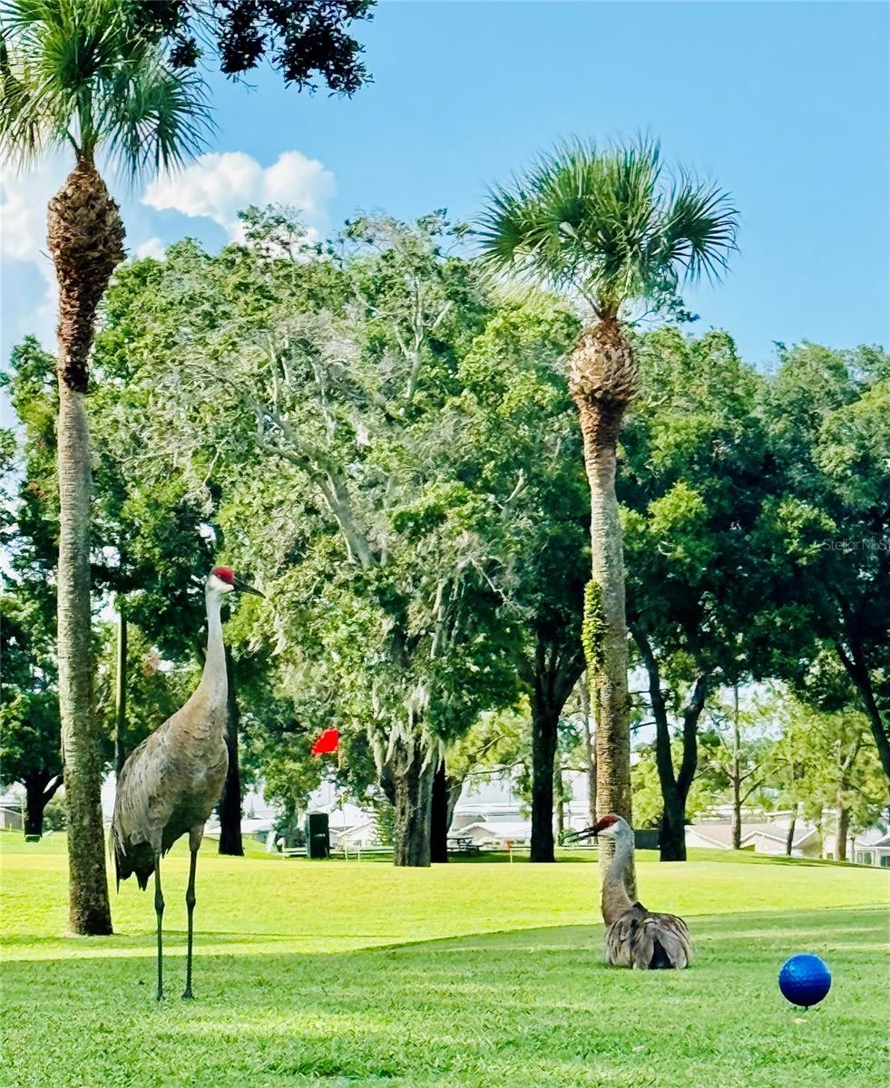 DEER CREEK GOLF & TENNIS RV RESORT - Land