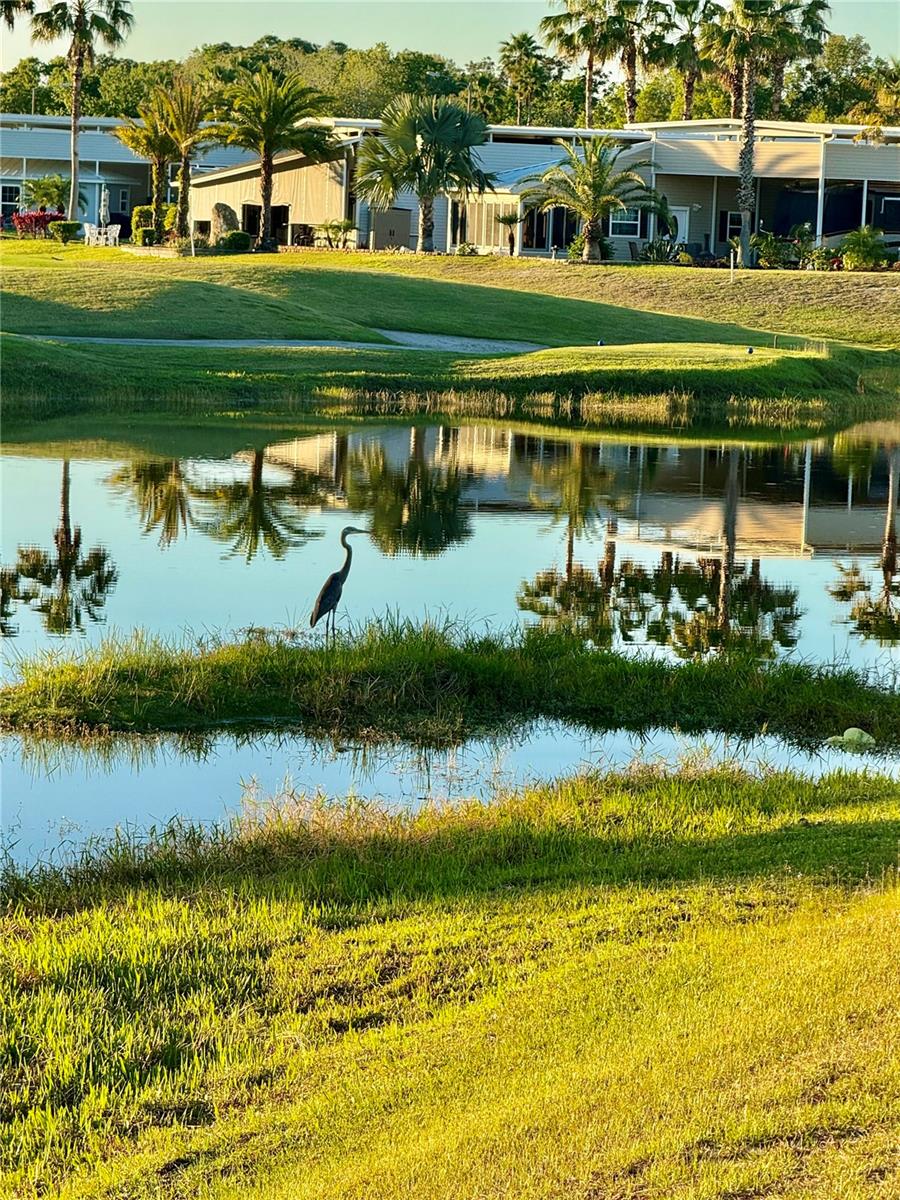 DEER CREEK GOLF & TENNIS RV RESORT - Land