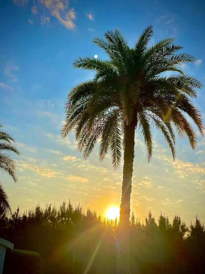 DEER CREEK GOLF & TENNIS RV RESORT - Land