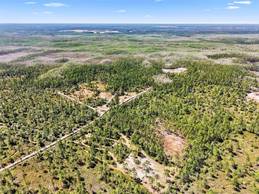 Build Your Dream Home on 2.5 Acres of Peaceful Florida Land (5 acres if you choose to purchase the adjacent 2.5 acre parcel that is also for sale)! Discover the perfect blend of privacy and convenience with this property (NOT located in a flood zone) just off International Speedway Blvd. This property offers ample space to design and build your dream home while enjoying the serenity of open land and natural surroundings. Peaceful, rural setting yet close to major routes, shopping, and amenities. Experience authentic Florida living with plenty of room to roam. If you’ve been searching for a slice of Florida paradise to call your own, this property offers the freedom, space, and tranquility you’ve been dreaming of.