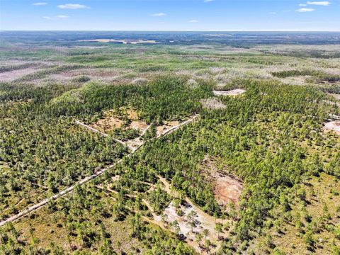 TURKEY ROOST ROAD DELAND FL 32724